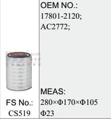 CS519