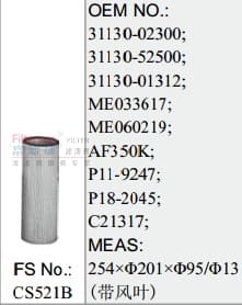 CS521B