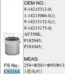 CS524A