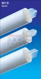 插入式折叠滤芯2 纯水过滤器