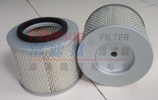 FS25309