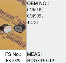 FS1029