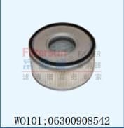 W0101:06300908542