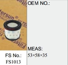 FS1013