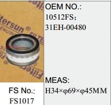 FS1017