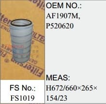 FS1019