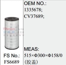 FS6689